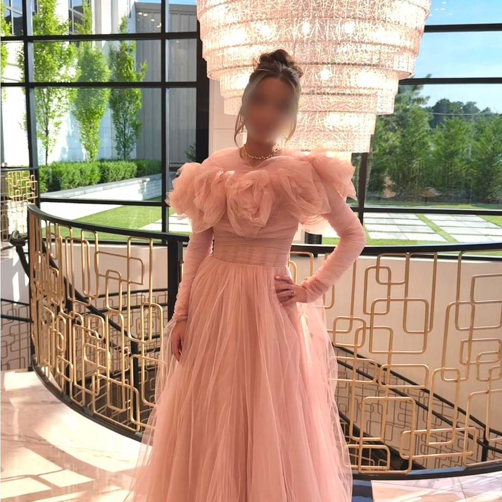 Ana Radu Rose Appliqué Tulle Gown